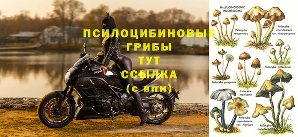 mix Алексин