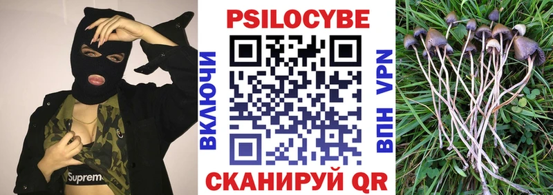 Псилоцибиновые грибы Psilocybe  Невьянск 